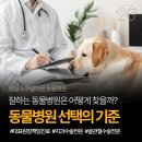 잠실동물병원 | 잠실동물병원 추천, 어떤 병원을 찾고 있나요?
