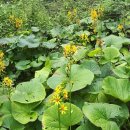 예정농장 이미지