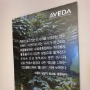 아로마 여인숙 이미지