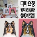 안산 공방 따따요정 반려견동반 원데이클래스 후기
