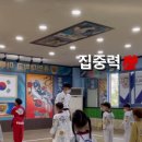 용인대마루태권도장 이미지