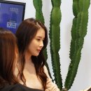 롯데홈쇼핑스튜디오샵 이미지