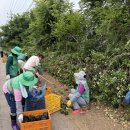 신창면 행정복지센터 이미지