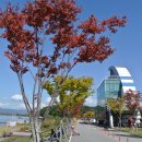 송암레포츠타운 수상스키본부동