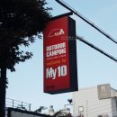 마이텐 이미지