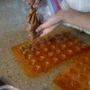 가람비엔에프 이미지