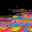 연등 Daum카페
