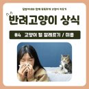 달봉이네 대연점 이미지