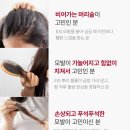 닥터88스토어 | 하아르 닥터란 샴푸 후기 | 2025 올리브영 1위 탈모샴푸의 진짜 효과는?