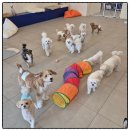 플라이투더뭉 이미지