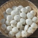 야심잔기지떡서울