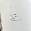 달시 이미지