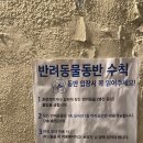 애견카페 포 이미지