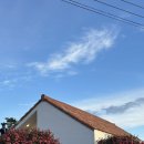 오서목장 이미지