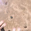 이호공인중개사사무소 이미지