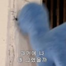 킥에스 | 싶은 원아페 10만원 주고 갔다 왔습니다...^^2026 부산 원아시아페스티벌 후기(feat.킥플립,라이즈,하투하)