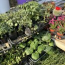 화원농장4 이미지