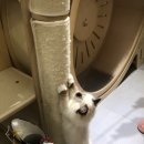 버만캣패밀리 | 안산 버만 고양이 카페 이색데이트 고양이좋아하는 아이들과함께 버만 캣 패밀리
