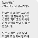 속보) 개신교계 현장 예배 강행하겠다 뜻 밝혀,"이후 벌어질 일에 모든 책임 지겠다" 이미지