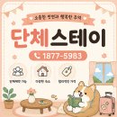 양평종합운동장 족구장 | 경기도 대학mt 장소 추천, 서울대에서도 많이 가는