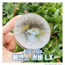 [AGE20&#39;S]견미리팩트 시즌12,올 뉴 에센스 커버 팩트 LX 21호처음 사용 해 본 후기
