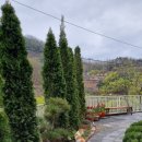 로코코블랑 이미지