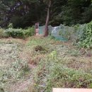 영돌농장 이미지