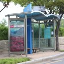 군청앞버스승강장 이미지