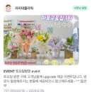 [서강대꽃집] 10년차 플로리스트 꽃집 | 라피네플라워