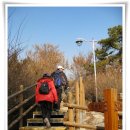 응봉공원 이미지