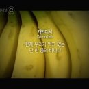 빠나나 Daum카페