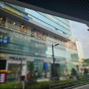 해마루 | 일직동 맛집 광명 해마루 프리미엄 도시락 포장 후기