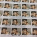 베트남전통쌀국수 이미지