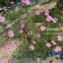 구곡농장 이미지