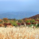 경북합천 황매산의 억새군락지 이미지