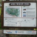 금정-6 이미지