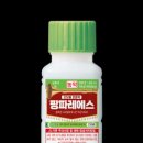 팡파레 이미지