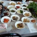 소싸움테마파크 이미지