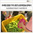 남정농장 네이버블로그