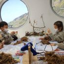 도래재로 이미지