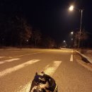 미단행복로 이미지