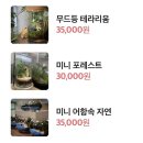 [10/20]가드닝 클래스 이미지