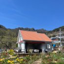 가천관광안내소 | 남해 카페톨 I 유채꽃과 바다가 예뻤던 정원 카페 (feat. 4월 다랭이마을 산책)