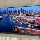 중소기업TV 추천 Google 5.0 최신 게이밍TV AU557QLED 맥스 티비 사용후기