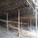 이학영 농장 이미지