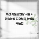 지오속눈썹
