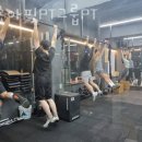 샘솟아핏 이미지