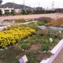 축산항초등학교 이미지