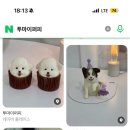 투마이퍼피 이미지
