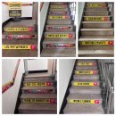 다이어트핏 이미지